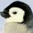 King of Penguins