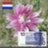 martijnheeroma